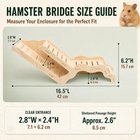 Large Size Syrian Hamster Explorer Set - image 3
