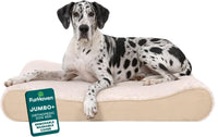 FurHaven Orthopedic Dog Bed for Large Dogs - Jumbo Plus/XXL / Cream