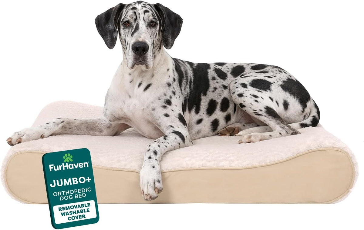 FurHaven Orthopedic Dog Bed for Large Dogs - Jumbo Plus/XXL / Cream
