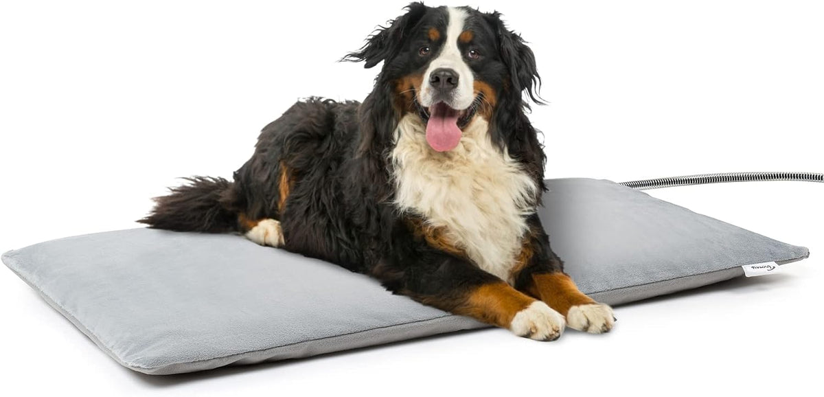 Toozey Heated Dog Bed and Cat Heating Pad, Waterproof Pet Mat - M: 28" x 16"