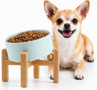 Black Raised/Elevated 15°Slanted Ceramic Dog Bowl for Small Breeds - Blue Sky / 1.7 CUPS - Puppy/Small Dogs & Cat Bowls