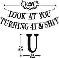 Black Glitter Look at You Turning 25 & Sh*t Banner - 41 - image 2