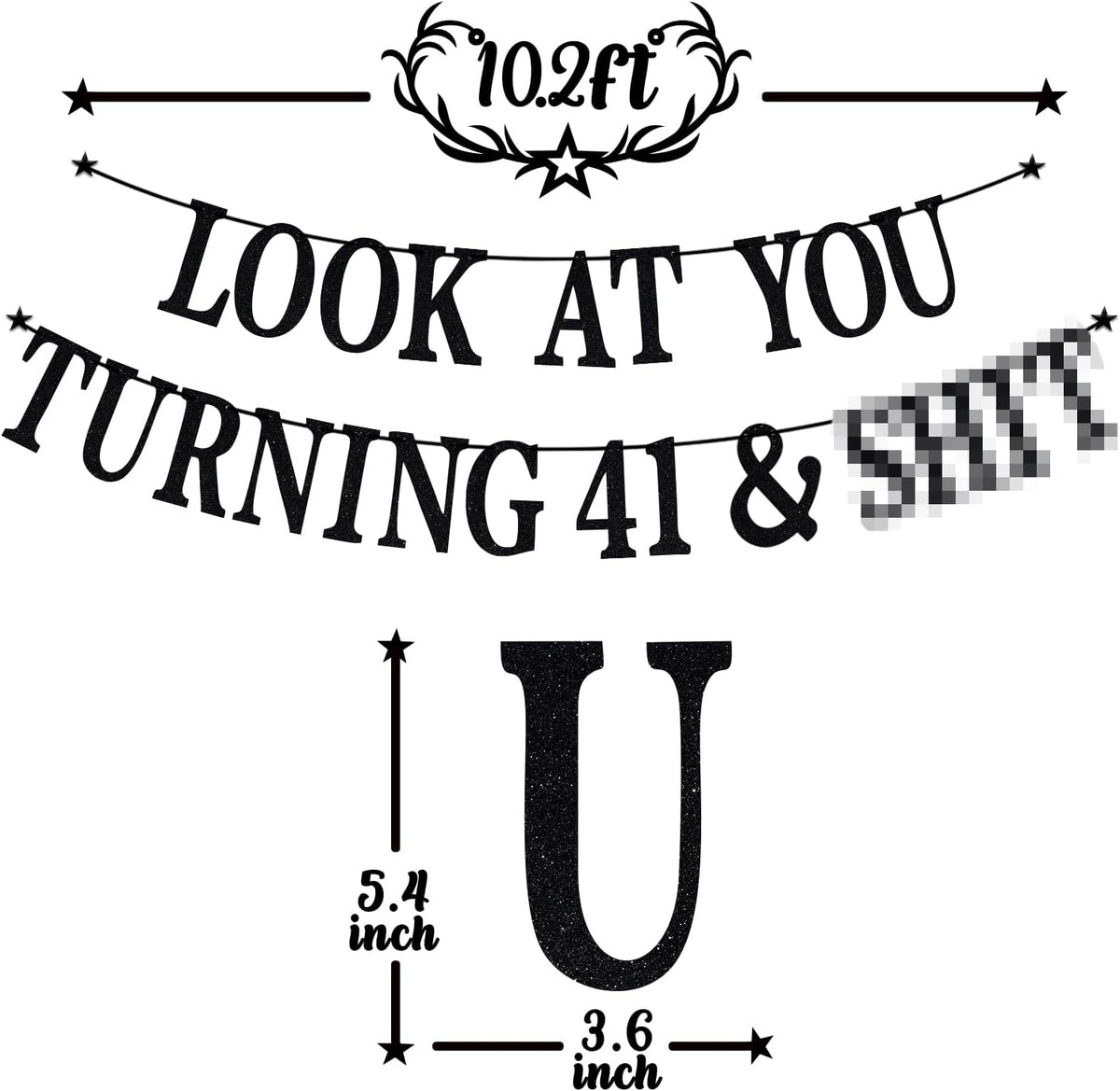 Black Glitter Look at You Turning 25 & Sh*t Banner - 41 - image 2
