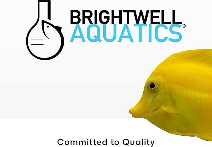 Brightwell Aquatics MicroBacter Start XLM - Concentrated Freshwater Nitrifying Bacteria - Quick Start Fish Tank Starter, Lift Microbe Levels & Water Filtering - Aquarium Water Treatments, 16.9 fl oz