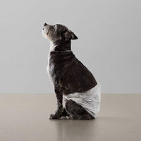 Amazon Basics Male Dog Diapers, 30 Count, Small, Ultra Absorbent Disposable Wrap with Secure Fit, Leakproof and Comfortable