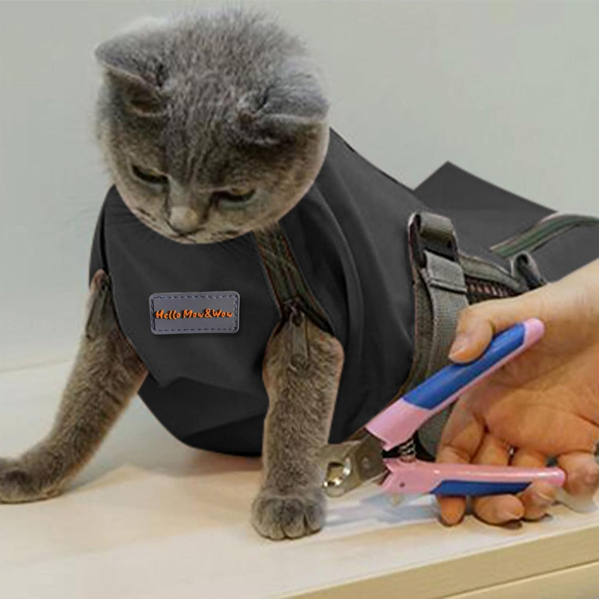 Cinf Cat Restraint Grooming Bag - M (8-12lbs) / Black - image 3