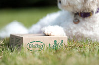 BioBag Compostable Dog Poop Bags, Standard Size, Plant-Based - Standard Bags - image 3