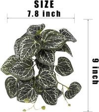 2Pack Reptile Plants for Terrarium - D-fake Anthurium Crystallinum - image 2