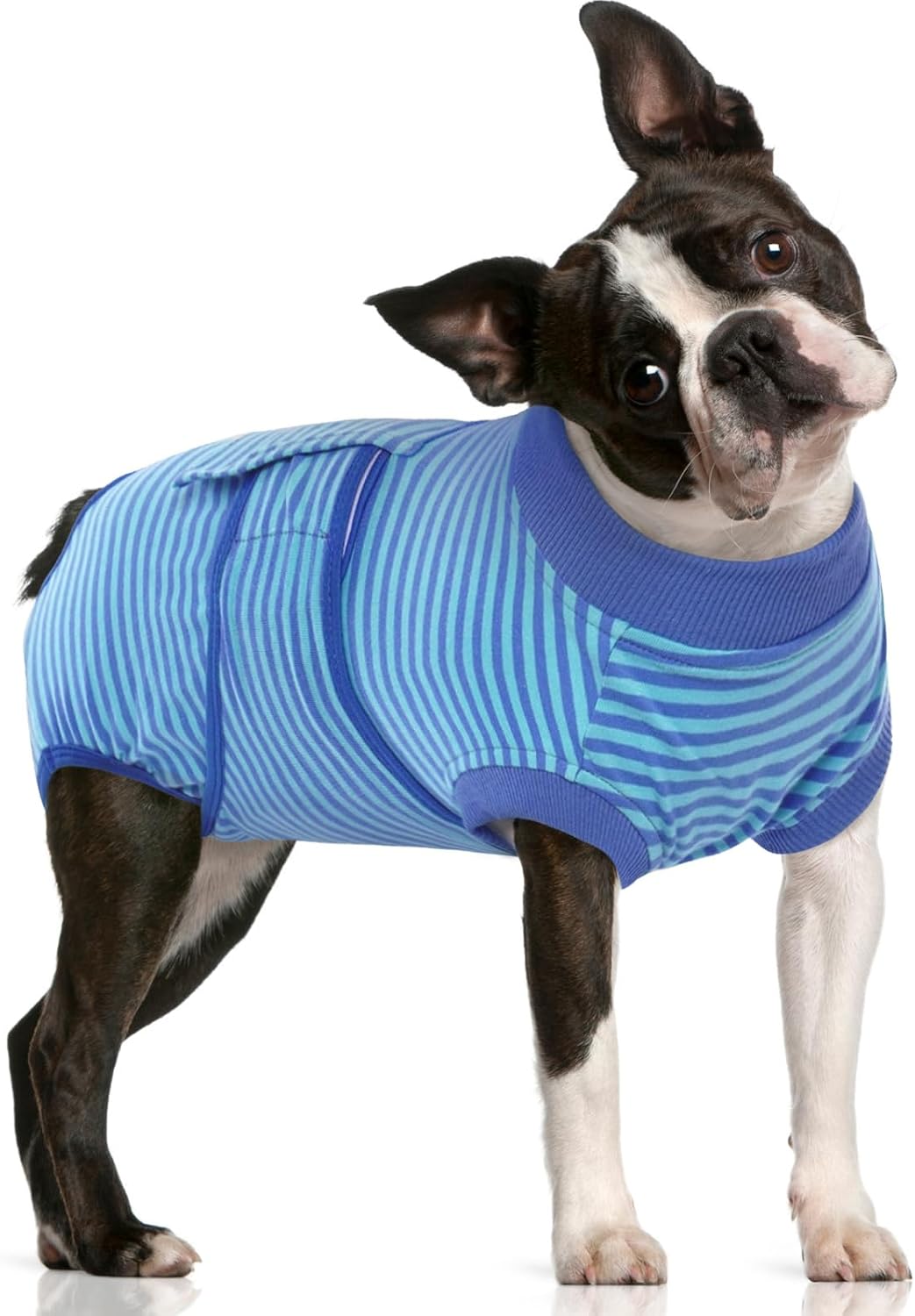 Dog Surgery Suit, Surgical Suit for Dogs, Dog Onesie for Surgery – Essentials for Dogs - M(back:13.4-16.1in,wt:14-25lbs) / Navy Blue Stripes