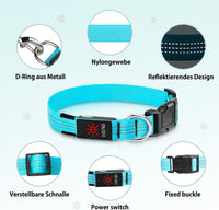 Light Up Collar for Small Dogs& Cats - S (11.8-15.7inch/ 30-40cm) / Blue - image 2