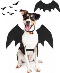 Halloween Dog Bat Wings Costume - Medium