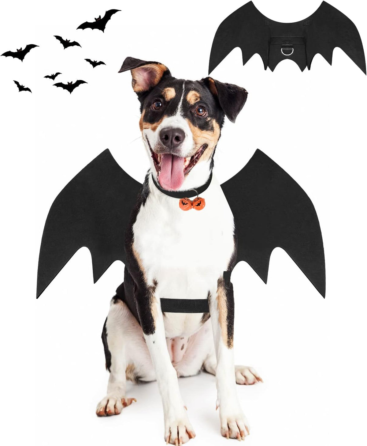 Halloween Dog Bat Wings Costume - Medium