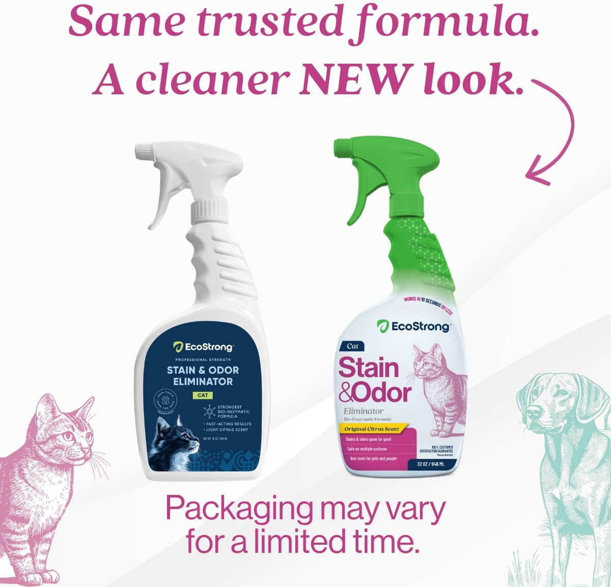 Eco Strong Cat Stain And Odor Remover - 32 Fl Oz (Pack of 1) - image 2