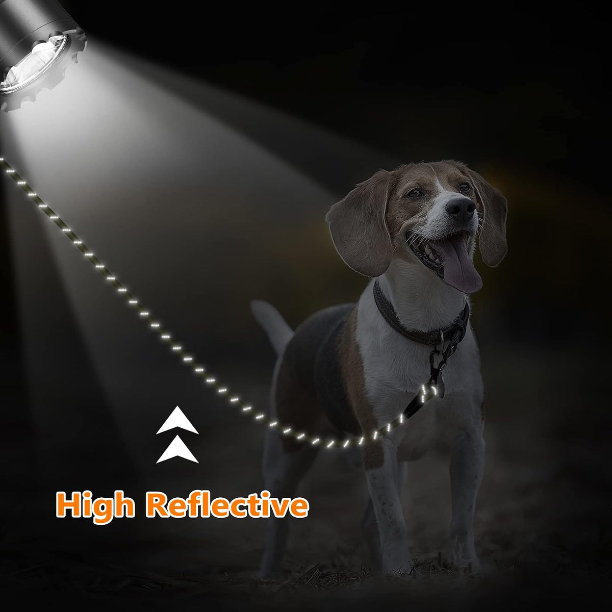 30 FT Dog Leash, Obedience Recall Training Agility Lead - 15ft*3/8" / Olive - image 4