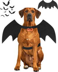 Halloween Dog Bat Wings Costume - X-Large