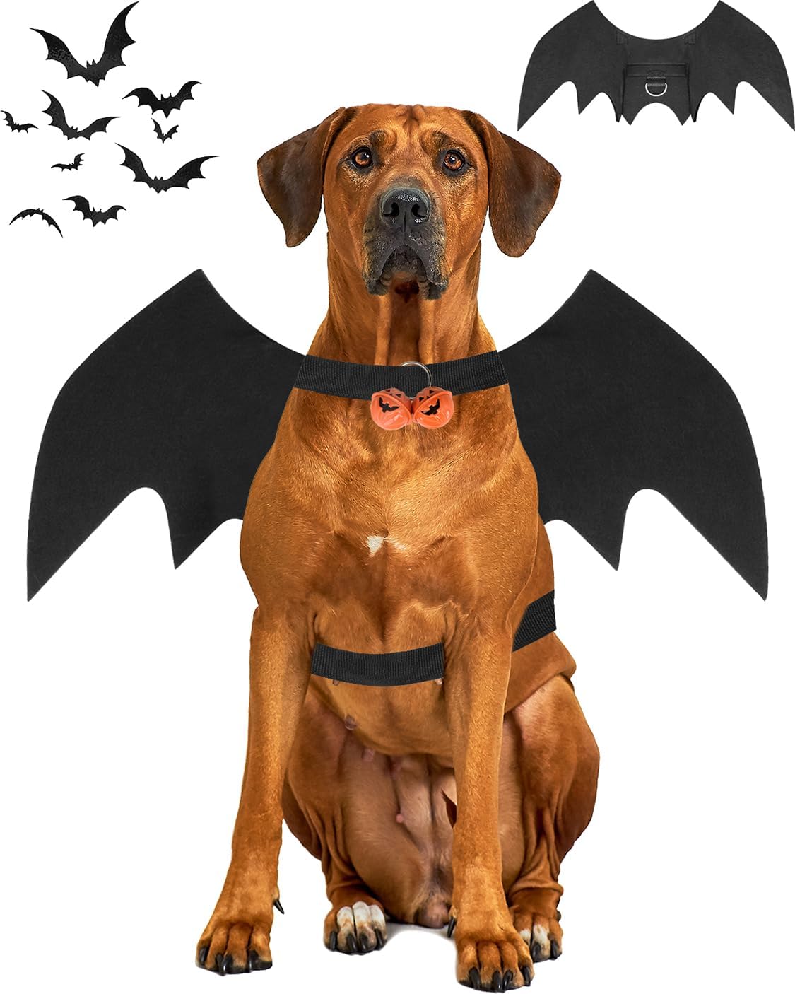 Halloween Dog Bat Wings Costume - X-Large