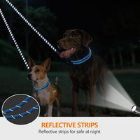 Taglory Double Dog Leash Coupler for Two Dogs - 30 Inch (Pack of 1) / Blue - image 4