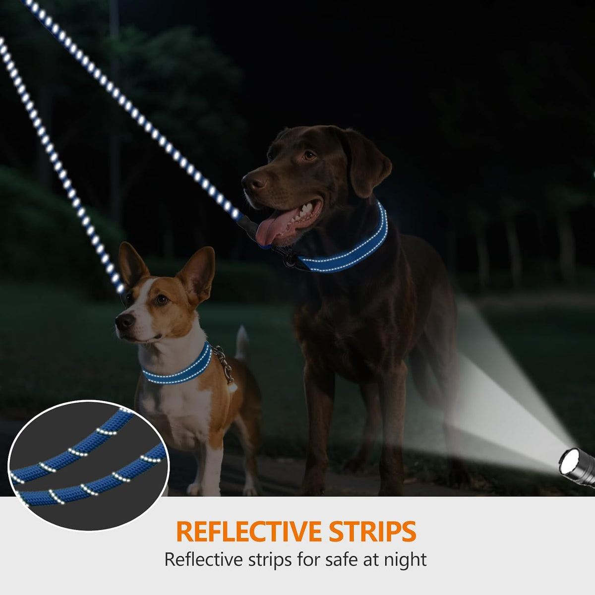 Taglory Double Dog Leash Coupler for Two Dogs - 30 Inch (Pack of 1) / Blue - image 4