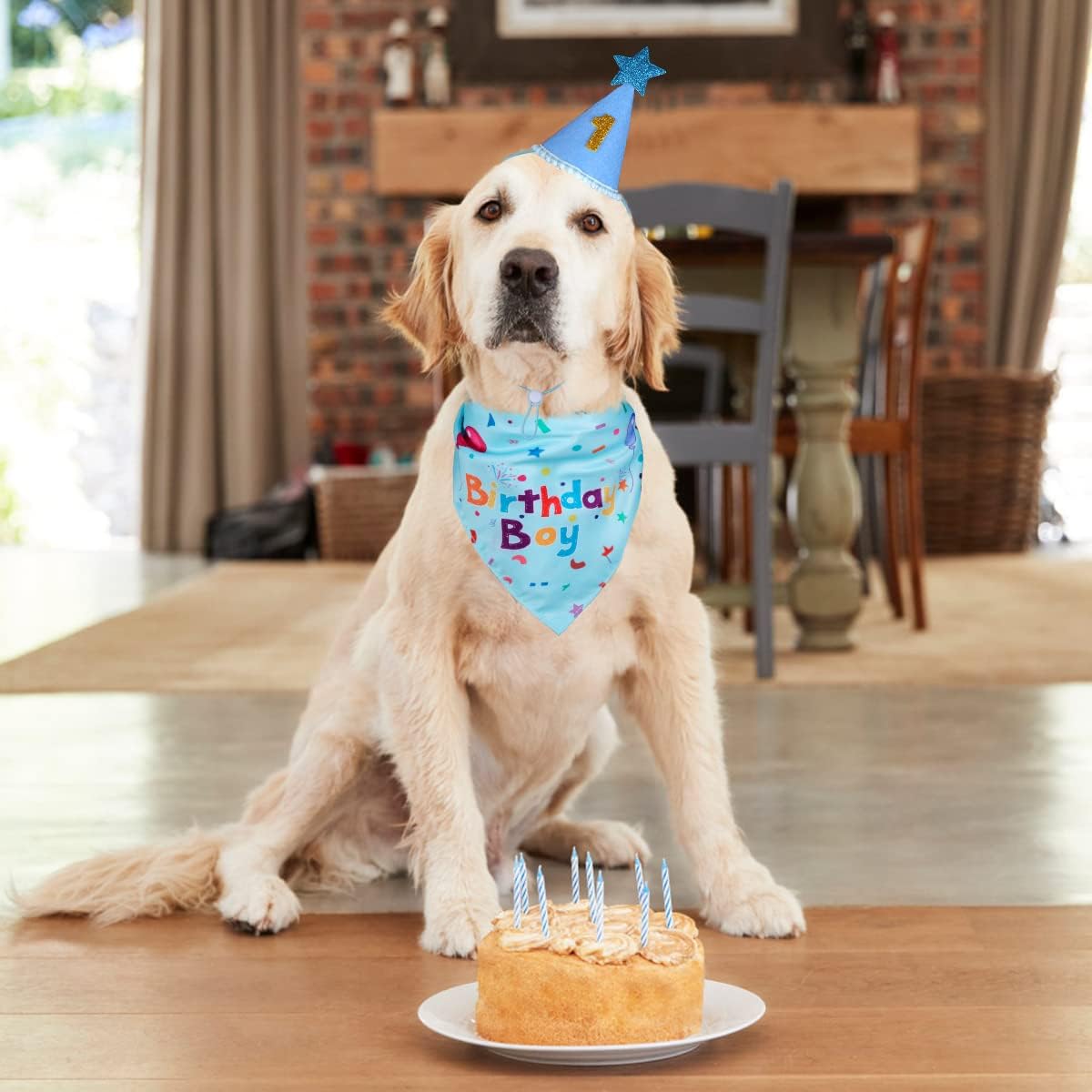 Dog Birthday Party Supplies – Premium Bandana & Hat Set for Dogs - BIG FRENCHIES