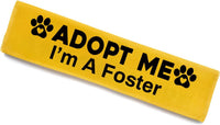 KISJO yellow Adopt Me I'm A Foster dog leash sleeve with hanging ID patch