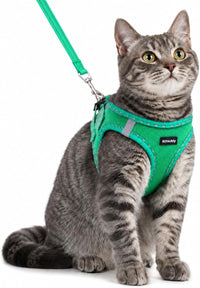 Rttochfy Cat Harness and Leash Set, Escape Proof Kitten Harness - XS (Chest:12.5"-14") / Green