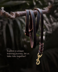 Braided Leather Dog Training Leash 6 Foot - Xl - 6 ft x 1 inch / Brown - image 3
