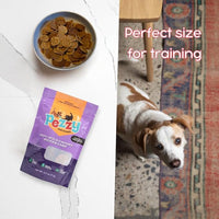 Silver Carp Chips Dog & Cat Treats | Single Ingredient | Wild Caught | Made w/Invasive Fish | Grain Free | High Protein + Low Fat | Hypoallergenic | Compostable Packaging | Made in The USA