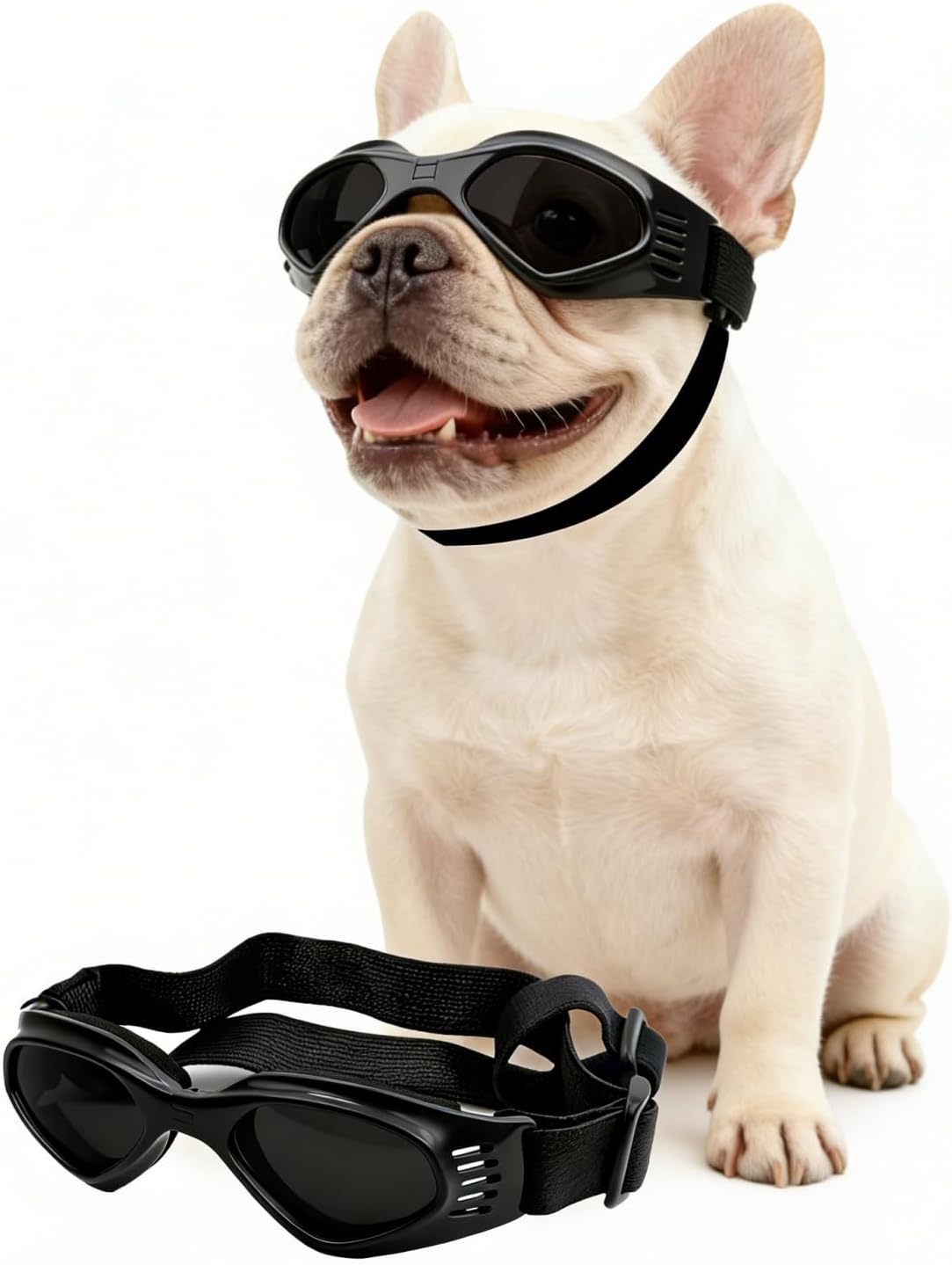 Clear Dog Goggles for Small Dogs - Fold Black / Medium