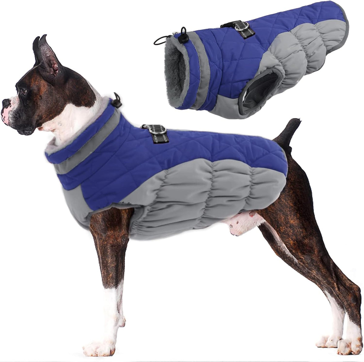 Dog Coat Warm Dog Winter Coat Waterproof Dogs Jacket with Harness – Essentials for Dogs - Large / Blue