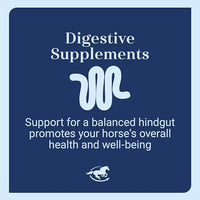 Senior Support SmartPak | Prebiotics and Probiotics | Turmeric Supplement | Flax Seed for Skin & Coat Health | Antioxidant Support for Senior Horses | 28 Days Supply