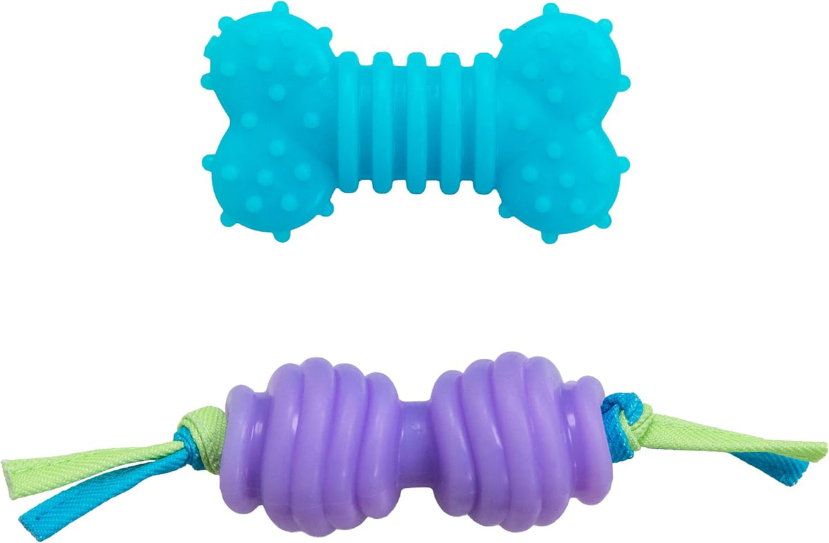 Cool Teething Stick Dental Dog Chew Toy, Soak & Freeze, 8.5" – Essentials for Dogs - Chew Pair