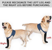 COODEO Dog Socks to Prevent Licking Paws, Healing Boots & Paw Protectors with Non-Slip Bottoms for Wound Protection, Waterproof Sleeve Shoes for Licking（Blue，M_Left