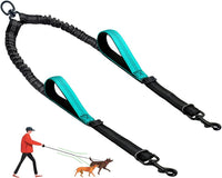 Double Dog Leash, No Tangle Splitter for Two Dogs - Blue