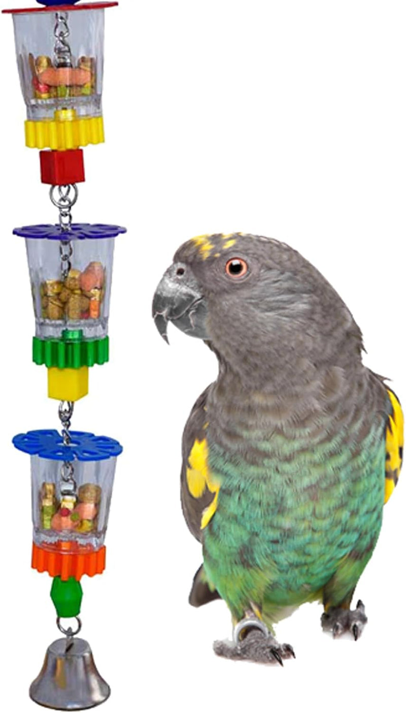 Super Bird Creations SB632 Foraging Bottom’s Up Bird Toy with Clear