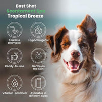 Best Shot Scentament Spa Tropical Breeze Seasonal Facial & Body Wash, 1 Gallon