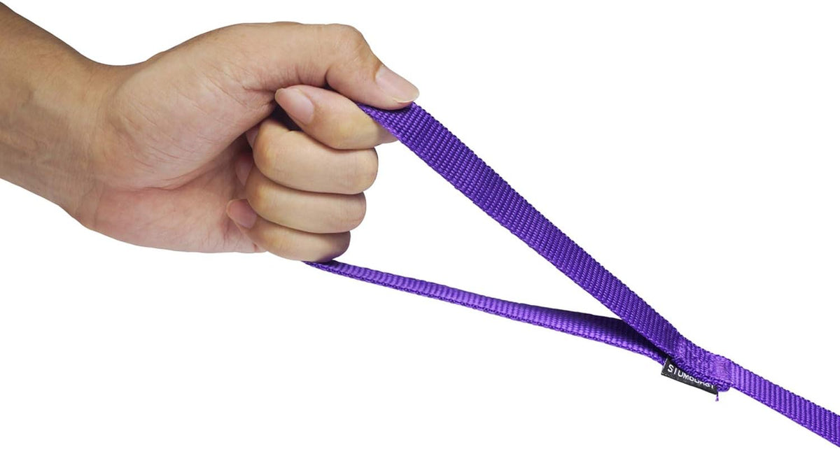Strong Durable Nylon 10ft Long Dog Training Leash, Traction Rope - Purple / 10 Feet - image 3