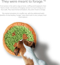 Pet Parents Forager Bowls - Meadow Natural - image 3