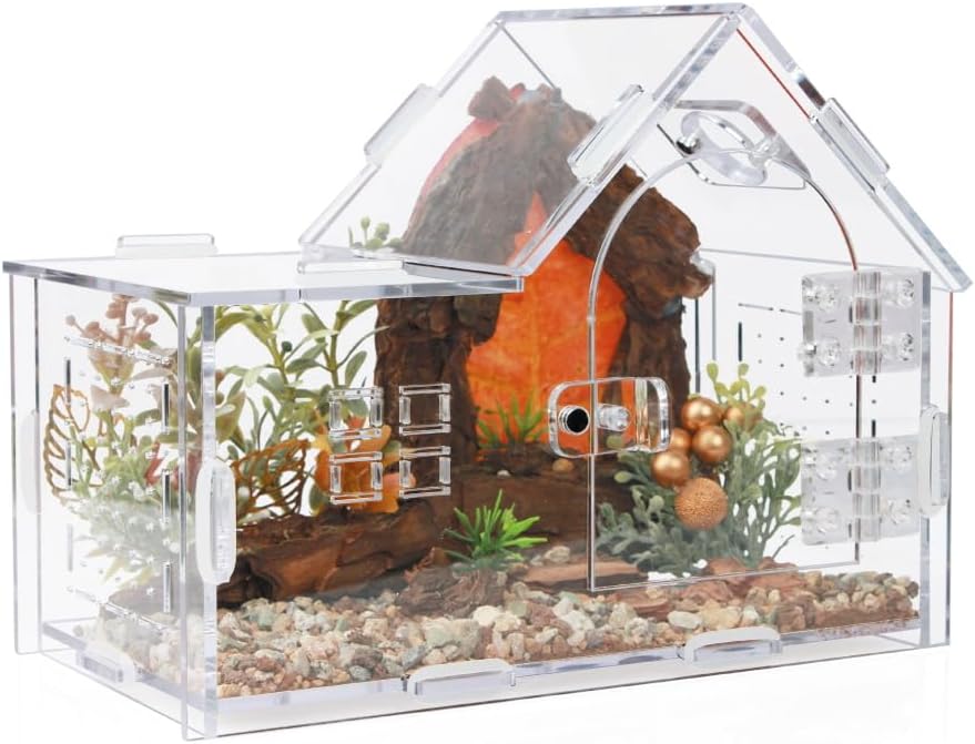House-shaped acrylic jumping spider enclosure with sloped roof and magnetic sliding front door