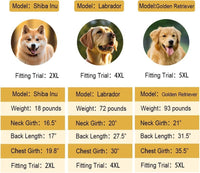 Dog Raincoat Waterproof Hooded, Medium Dogs - Green / 3XL-Fit for 33 to 44 pounds - image 2