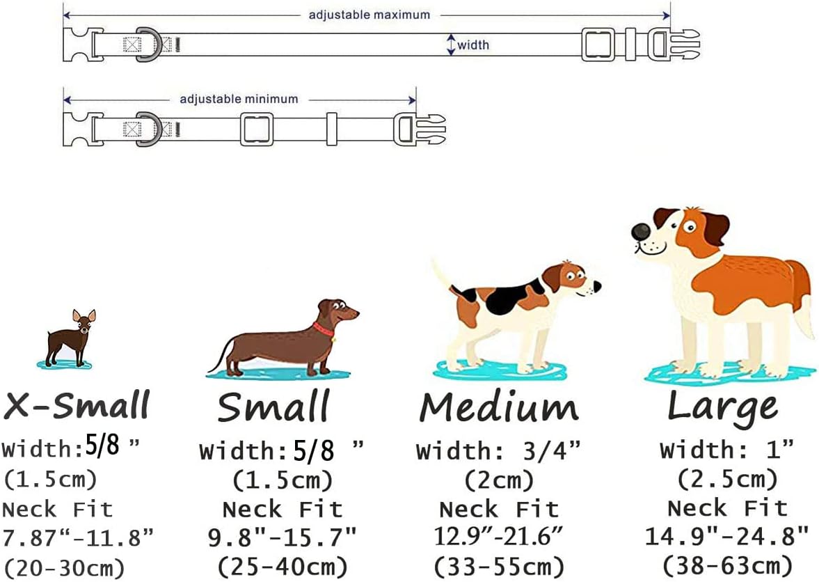 Mihqy Dog Collar for Medium Dogs, Fashion Design, M - L (Neck 14.9-24.8", Width 1") / Halloween - image 3