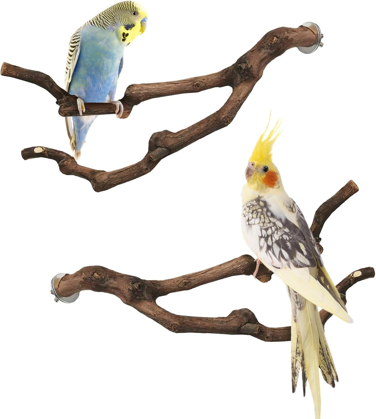 PINVNBY 3 Sizes Natural Parrot Perch Grape Wood Bird Stand Pole - 5.9in