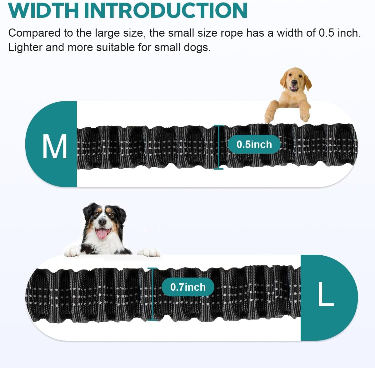 Hands Free Dog Leash for Two Dogs Walking, Running – Essentials for Dogs - Grey-Green / Medium - image 3
