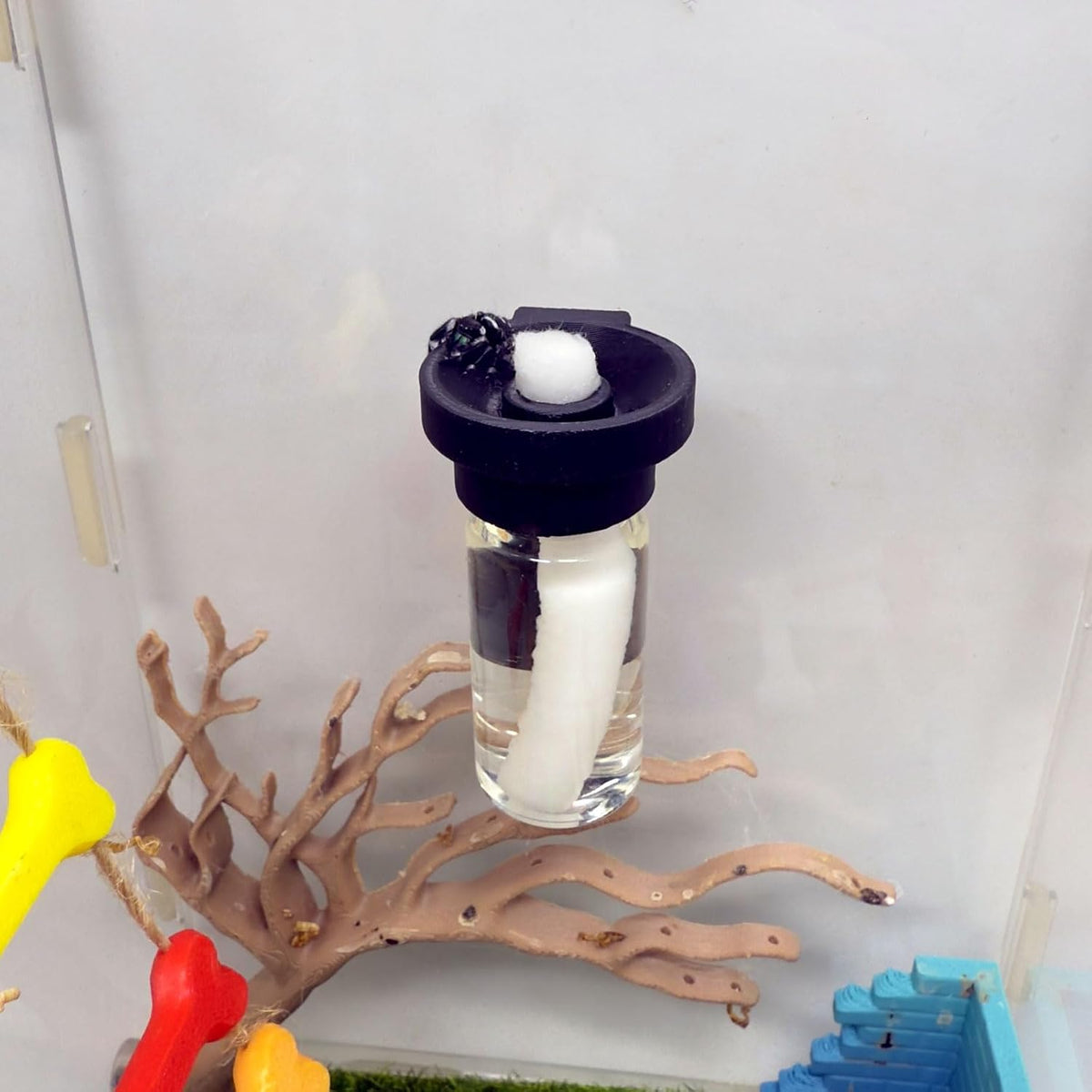 Jumping Spider Water Dispenser, Magnetic Hanging Feeder - Black / 10ML