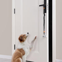 Dog Door Bell with Hanging Ring - One Dog Bell / Sky Blue - image 4