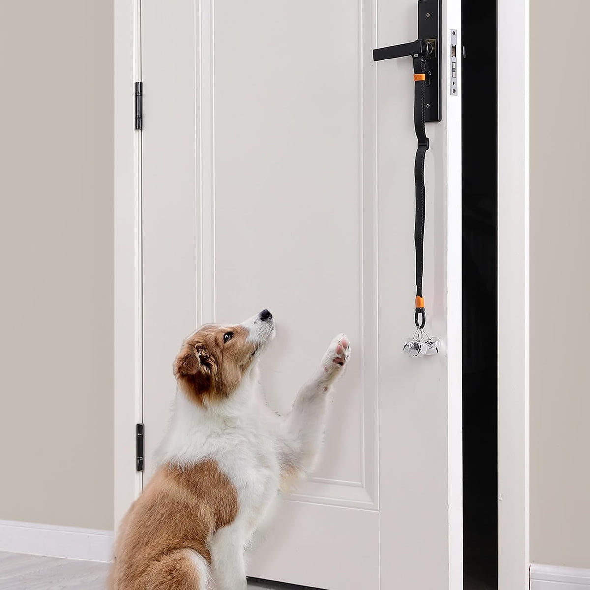 Dog Door Bell with Hanging Ring - One Dog Bell / Sky Blue - image 4