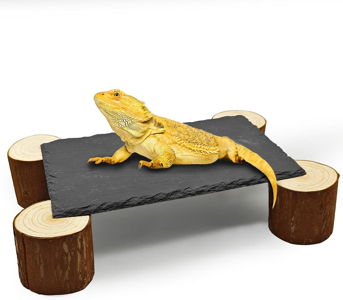 Bearded Dragon Basking Platform - XL - 10" x 6" x 2.4"