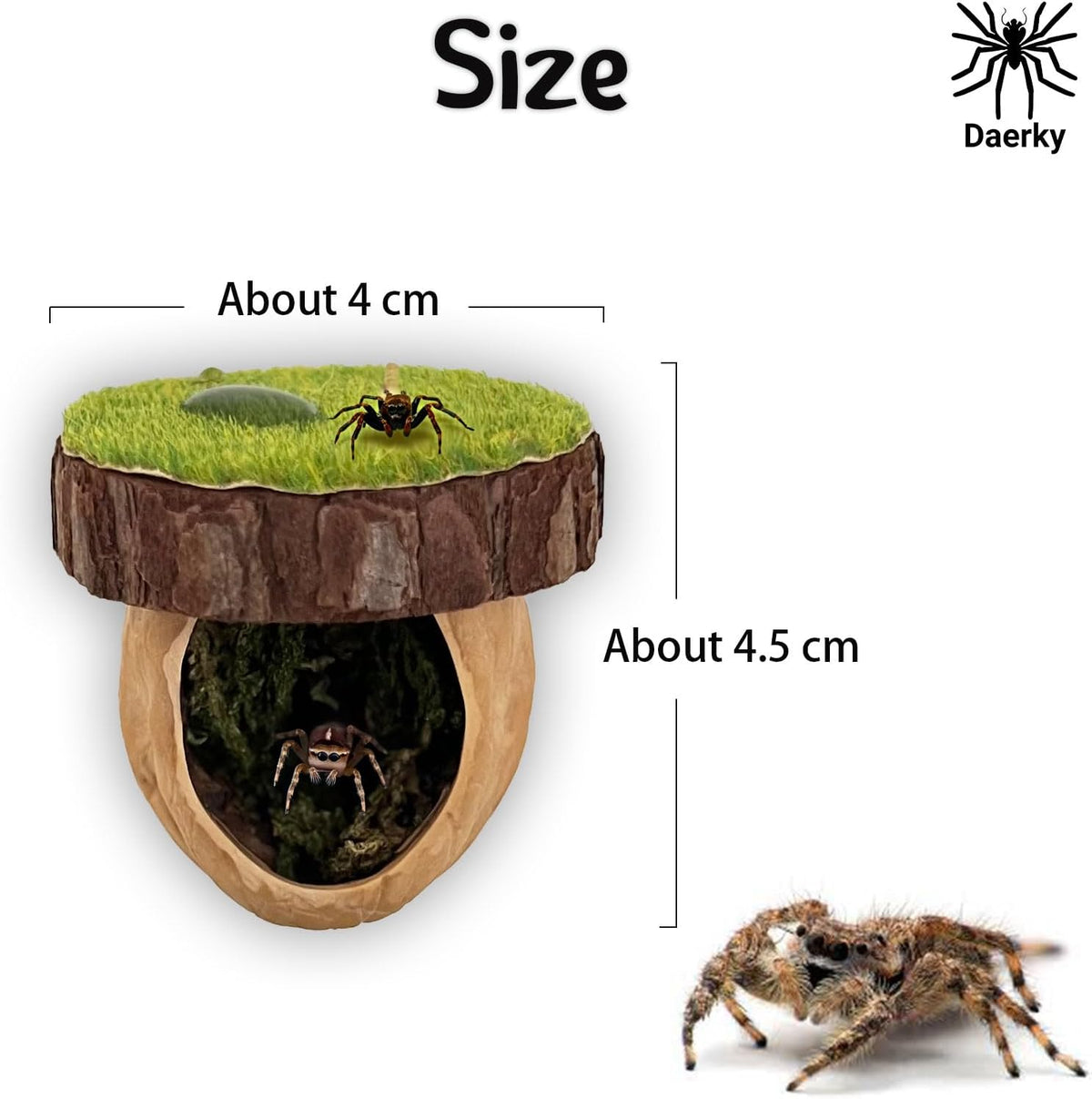 Jumping Spider Hideout, Magnetic Hiding Habitat - image 3