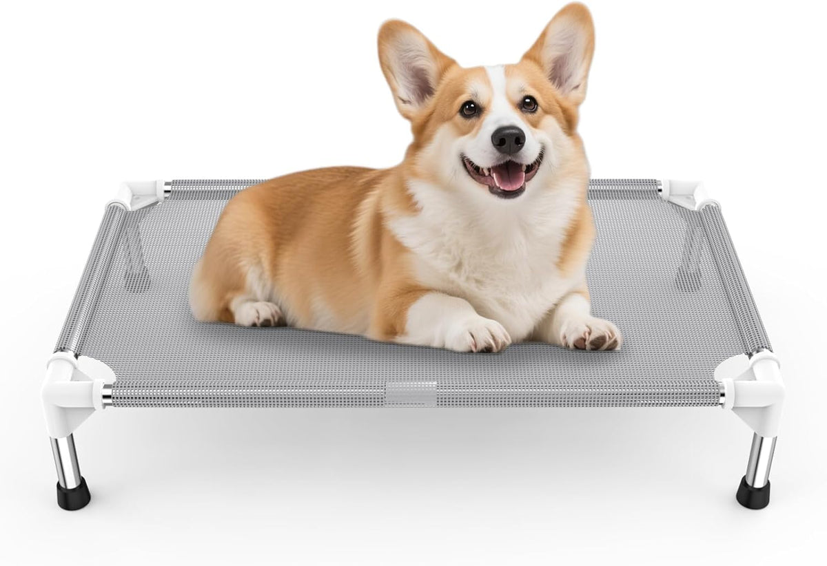 Elevated Dog Bed with Teslin Cooling Fabric, Lightweight Dog Cot - (M-)-Gray