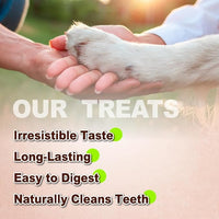 Afreschi Turkey Tendon Braid (M) 3.17 oz, USA-Sourced Turkey Tendon, All Natural Human Grade Dog Chew, Hypoallergenic, Rawhide Alternative, Dog Treats for Small & Medium Breeds