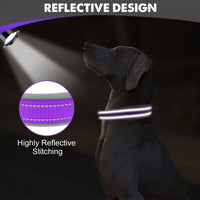 Joytale Reflective Dog Collar for Large Dogs with Wide Padding - Purple / XL - image 4